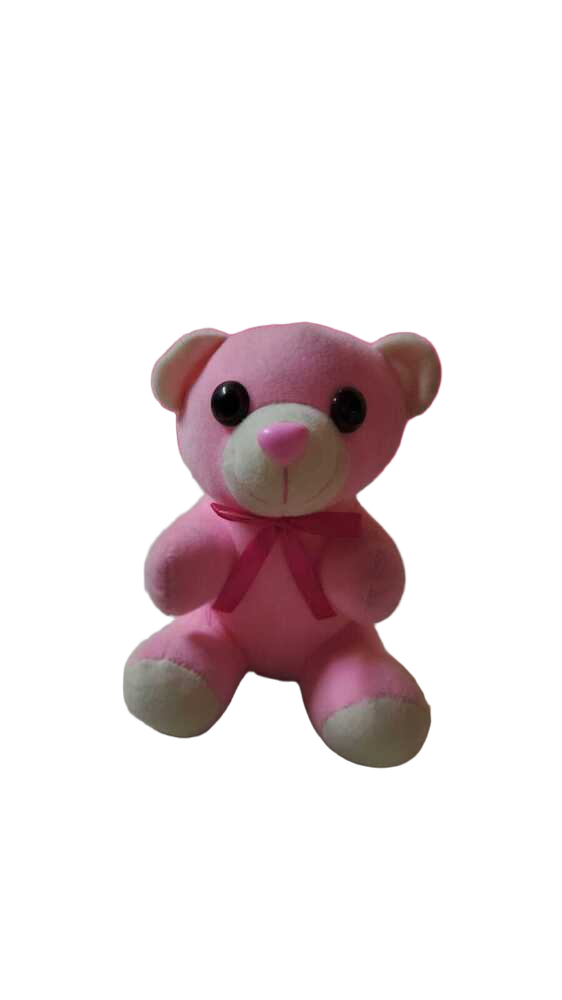 Teddy 18cm