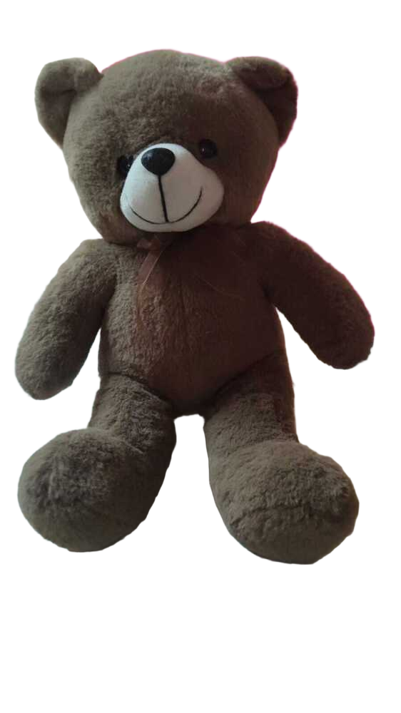 Teddy 35cm