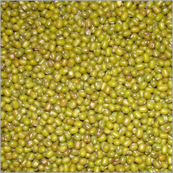 हरा फलियाँ