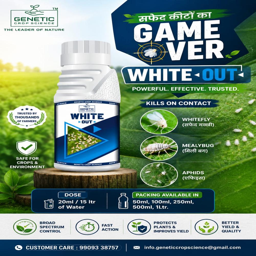 White Fly Control - Alkaloid & Fatty Acid Mixture, Biological Insecticide With 98-100% Purity For Agriculture