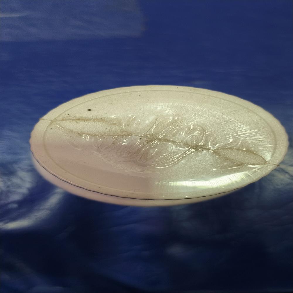 BP Care Capsules