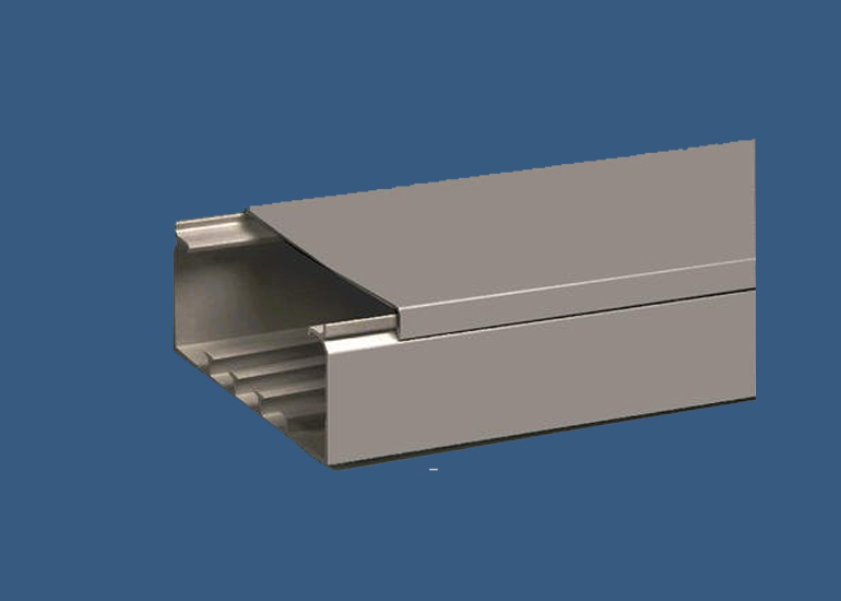 Raceways Trunking Ducks