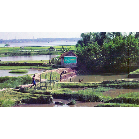 मछली पालन