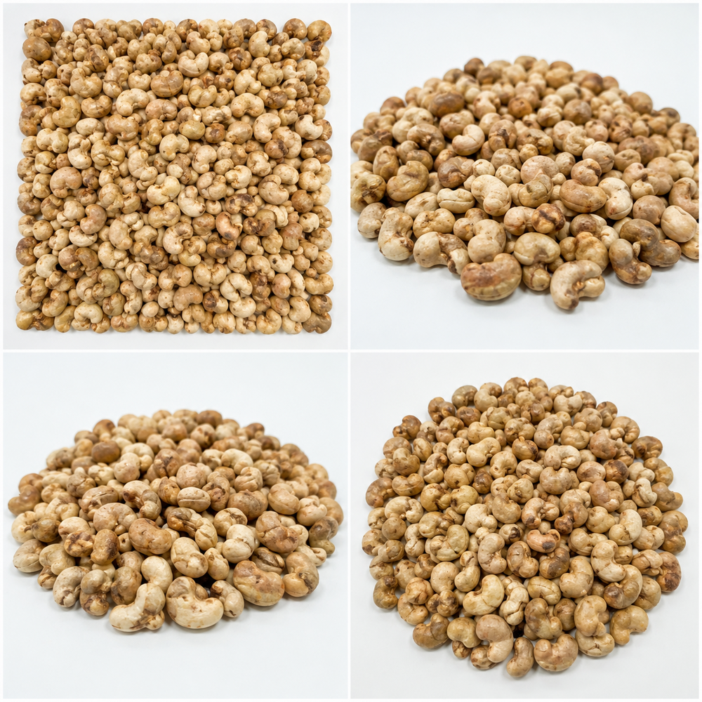 Dried Raw Cashew Nut