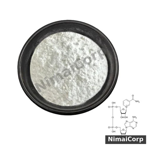 Nicotinamide Adenine Dinucleotide API Powder-NAD