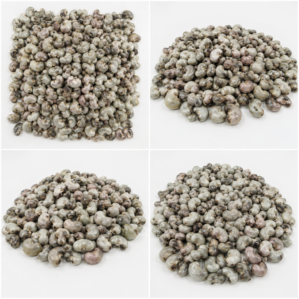 Togo Benin Raw Cashew Nut