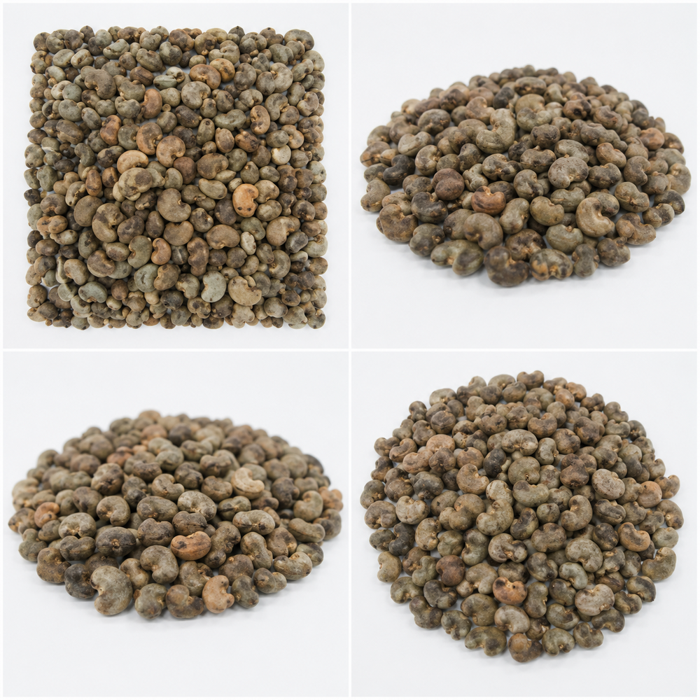 Guinea Bissau Raw Cashew Nut