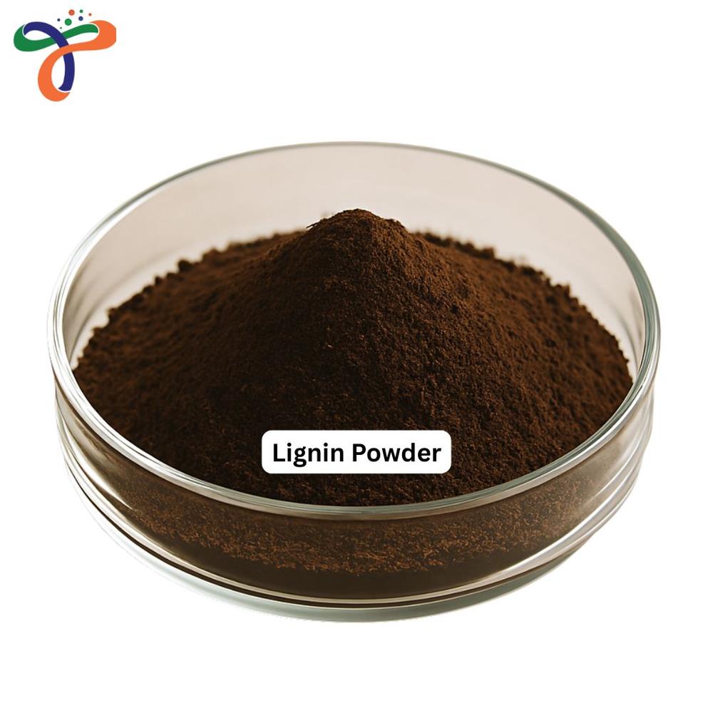 Lignin Powder (10000 g/mol)
