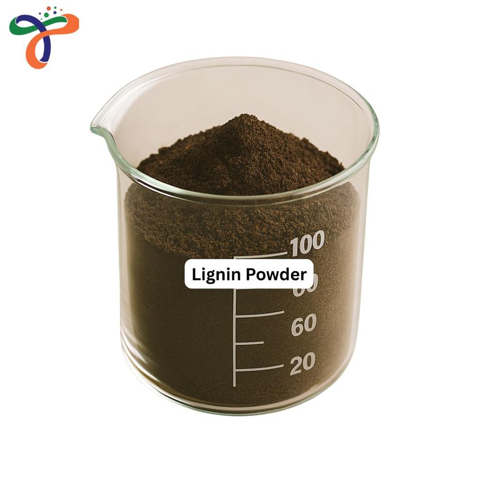 Lignin Powder (10000 g/mol)