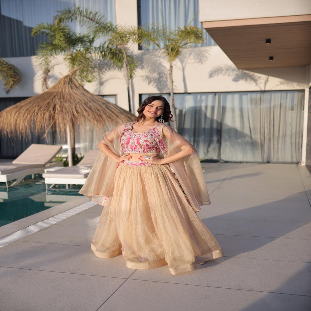 Indian Designer Bollywood Style Lehenga Choli