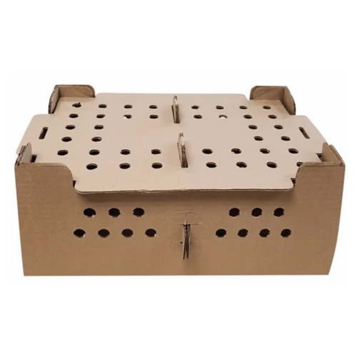 5 Ply Corrugated Chick Box