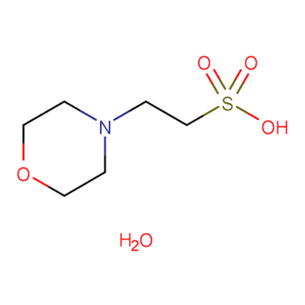 2-Morpholinoethanesulfonic acid monohydrate (MES)