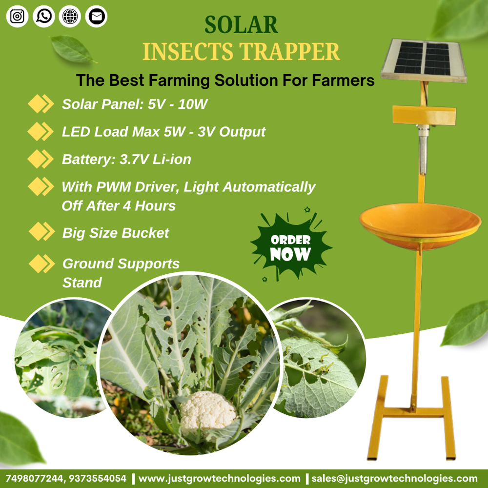 Solar Insect Killer