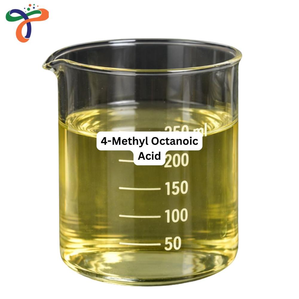 4-Methyl Octanoic Acid