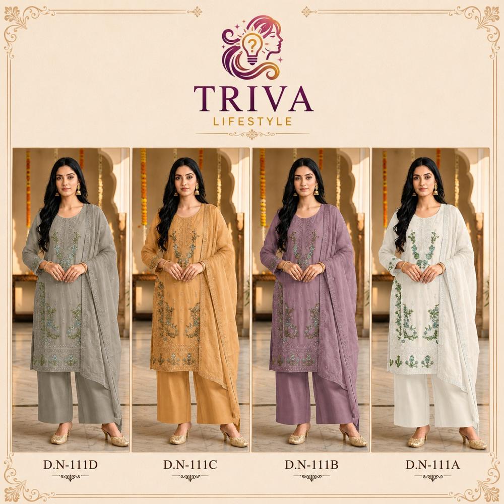 Indian Pakistani Premium Salwar Suit