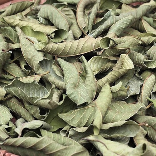 Dired Guava Leaves