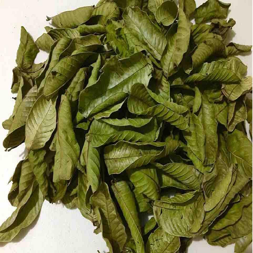 Dired Guava Leaves