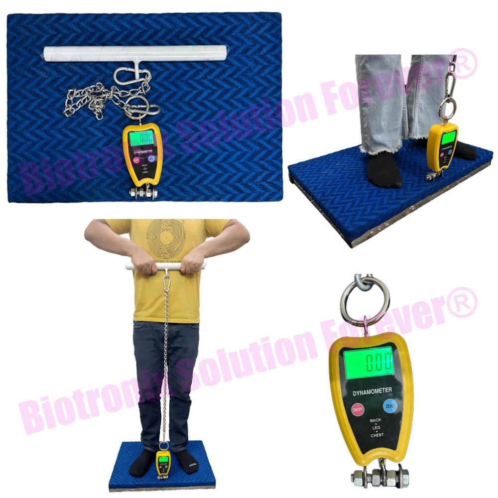 Clinical Back Leg Chest Dynamometer with Digital Display