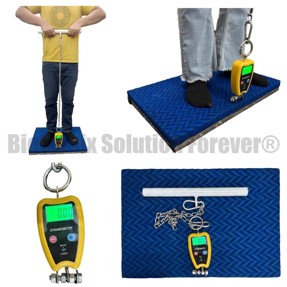 Digital Muscle Strength Testing Equipment for Rehabilitation