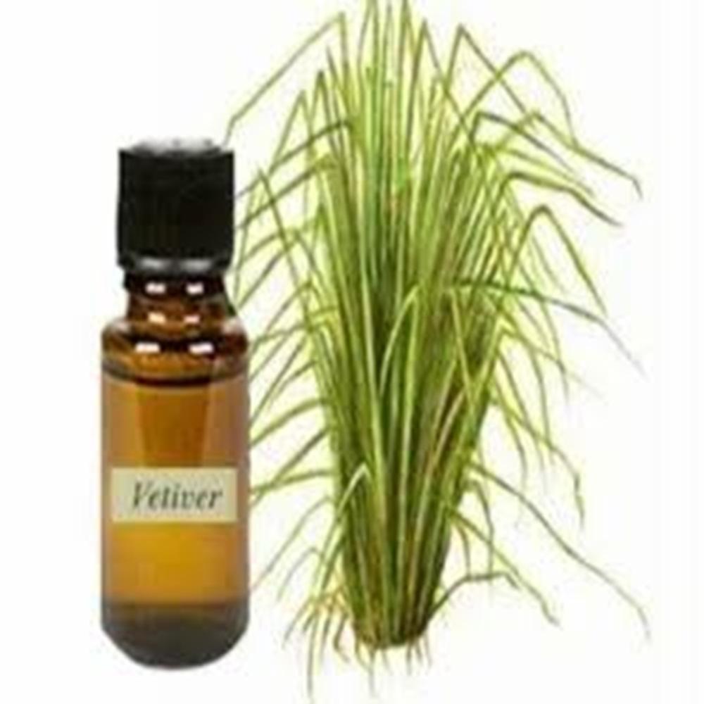 Vetiver Oil  North - Cas No: 8016-96-4