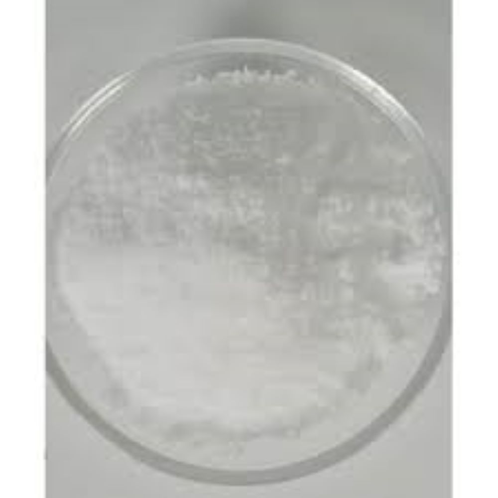 Cis imidazole 61397-58-8
