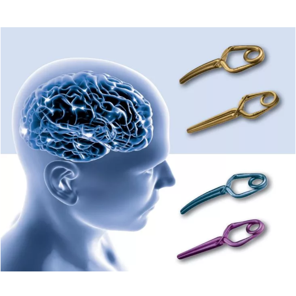 Aneurysm Clip Aneurysm Clips for Neurosurgery