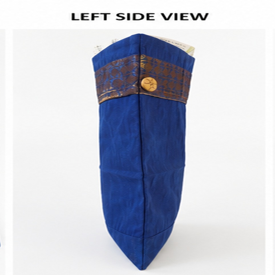 Salabh Net Saree Bag