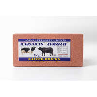 Rajsaras saalted bricks