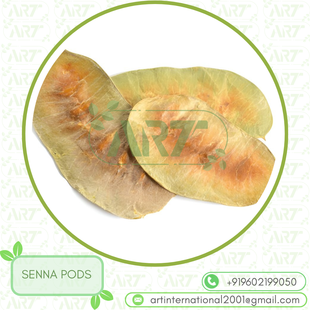 SENNA PODS