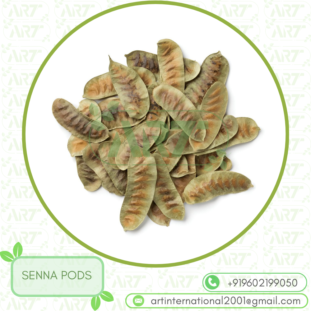 SENNA PODS