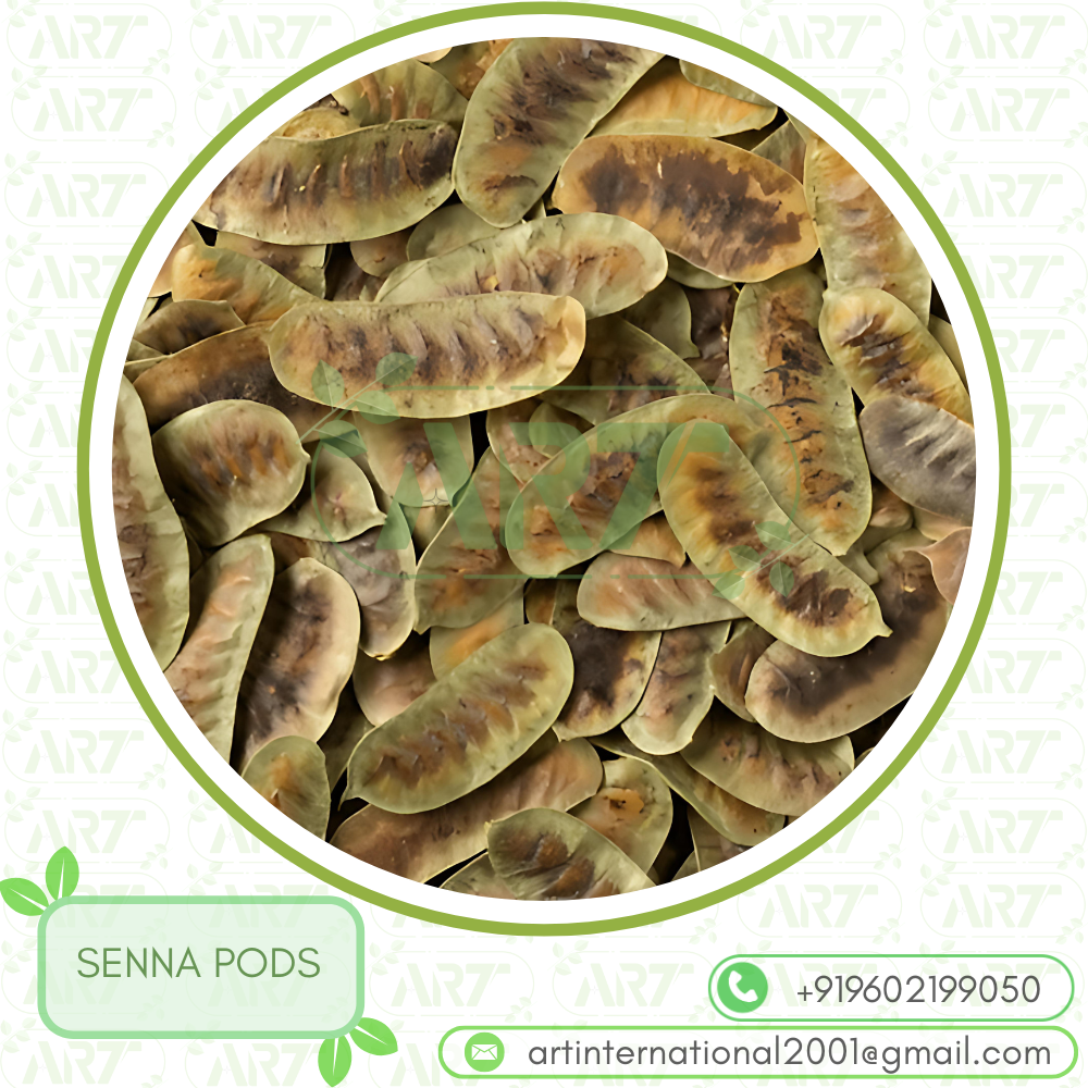 SENNA PODS