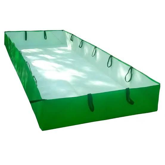 Azolla Bed
