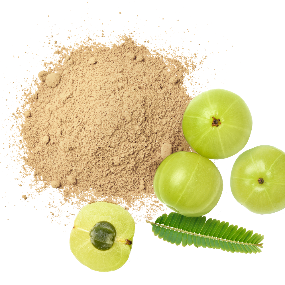 AMLA POWDER