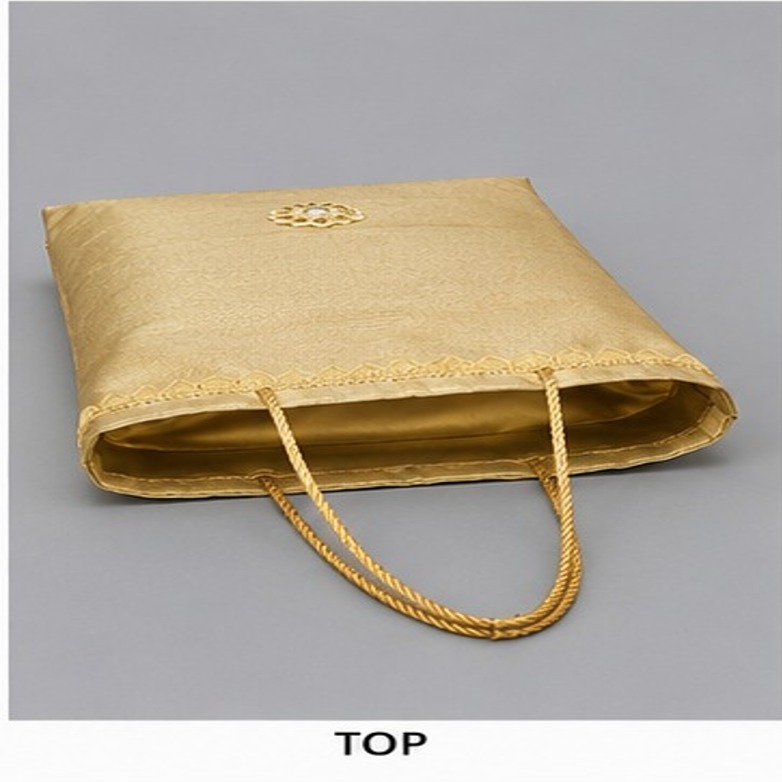 Tissue Saree cover