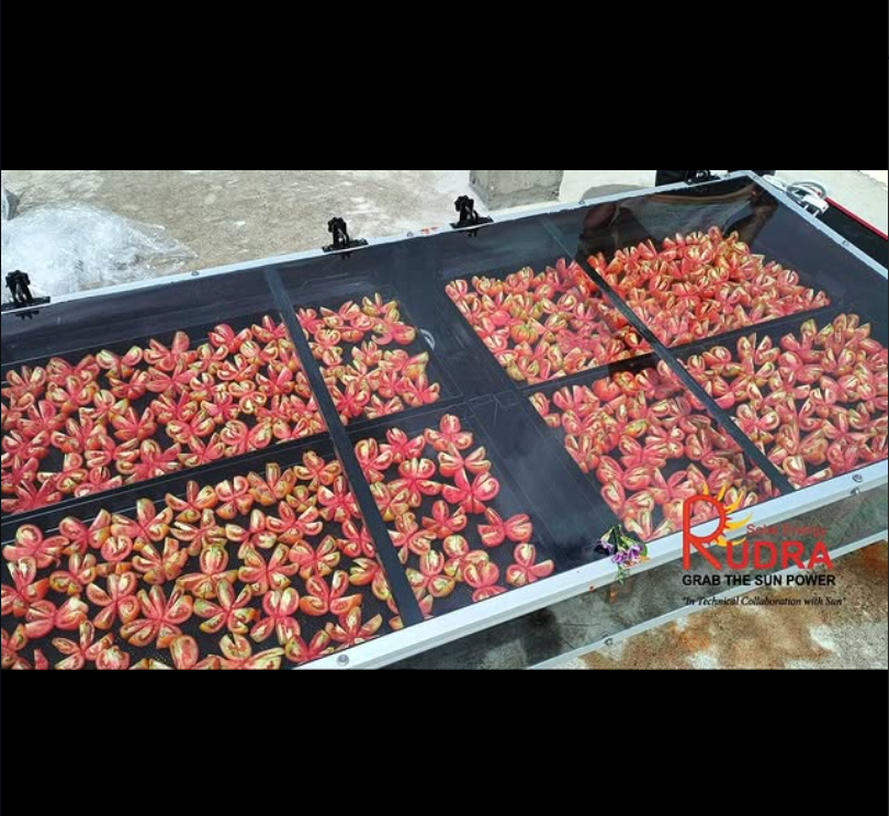 Solar Dryer for Tomato