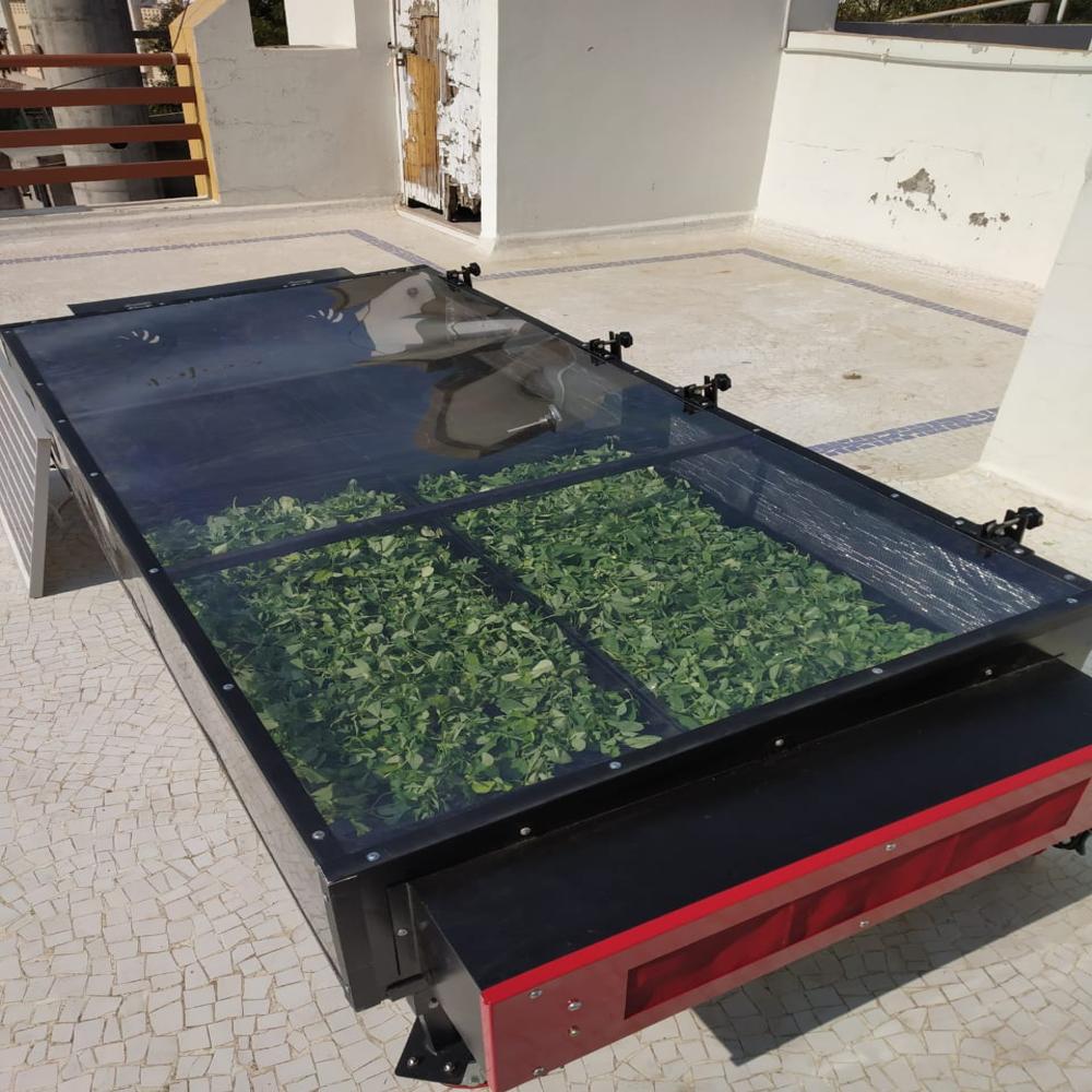 Solar Dryer for Tomato