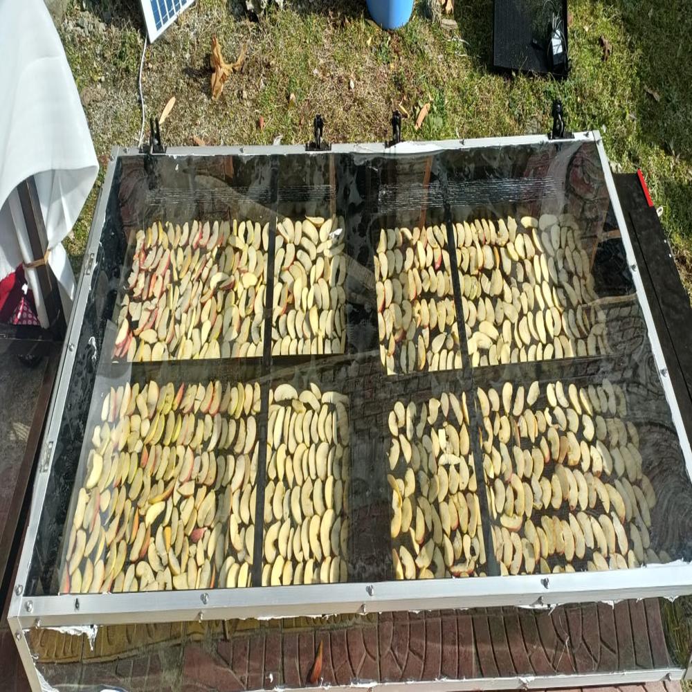 Solar Dryer for Turmeric
