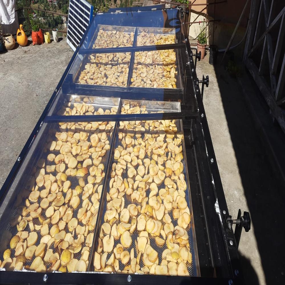 Solar Dryer for Turmeric