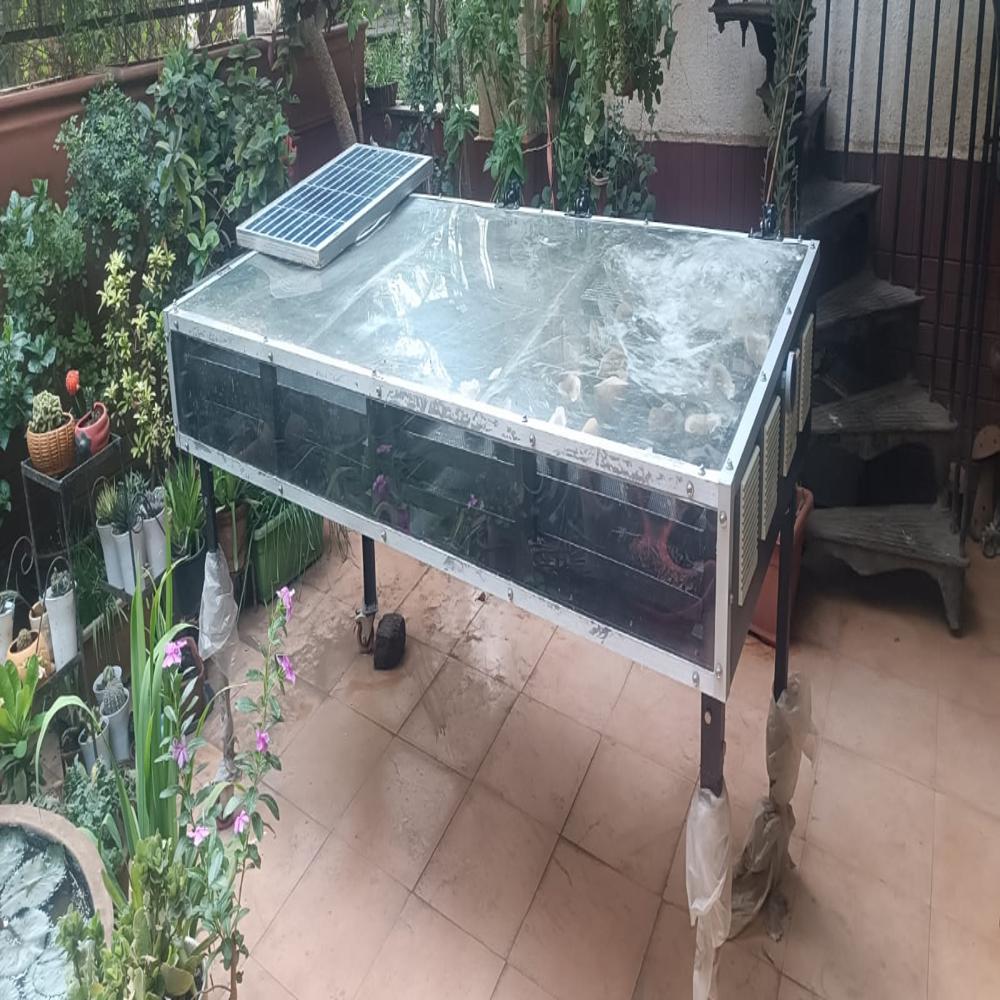  Electric Hybrid Solar Dryer