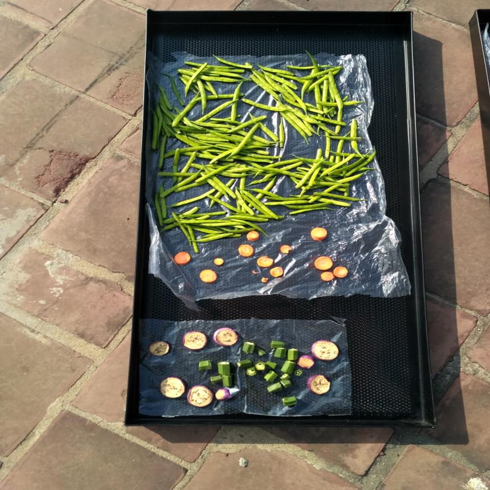 Solar Crop Dryer