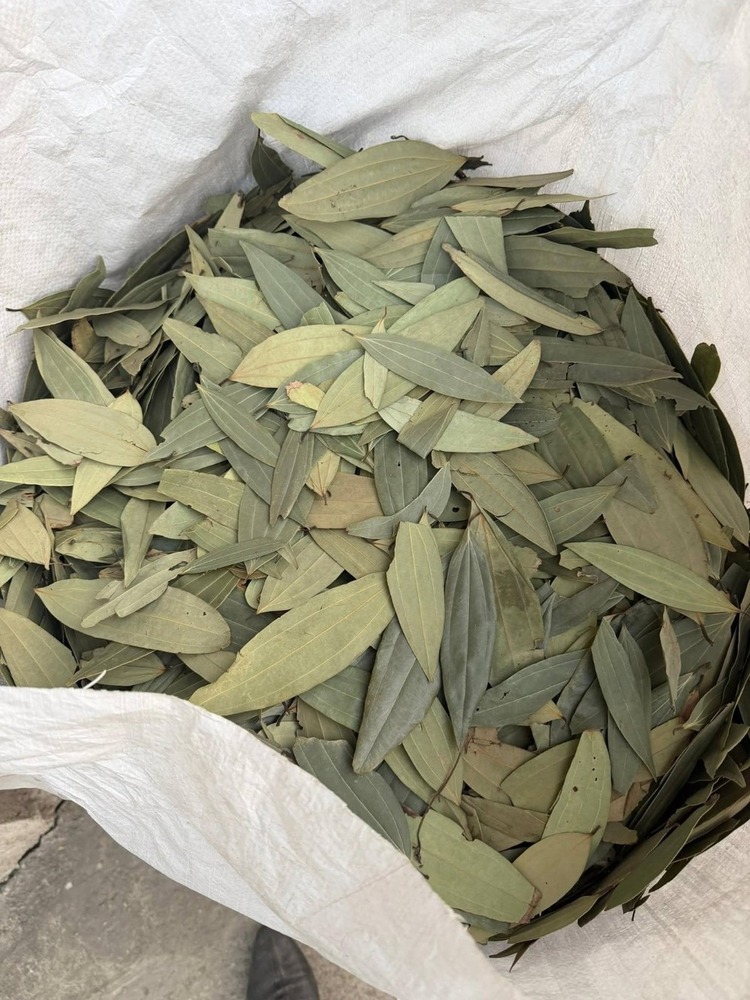 तेजपत्ता