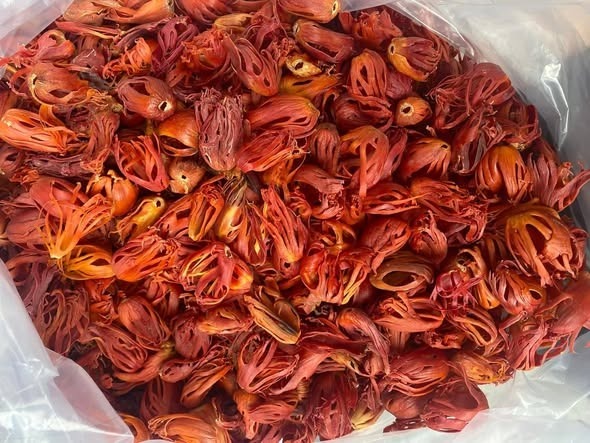 शुष्क मेश