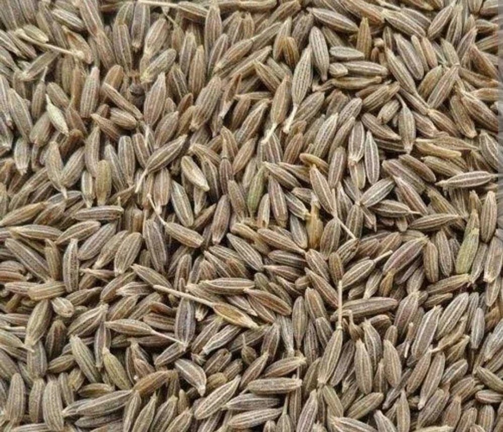 कच्चा जीरा
