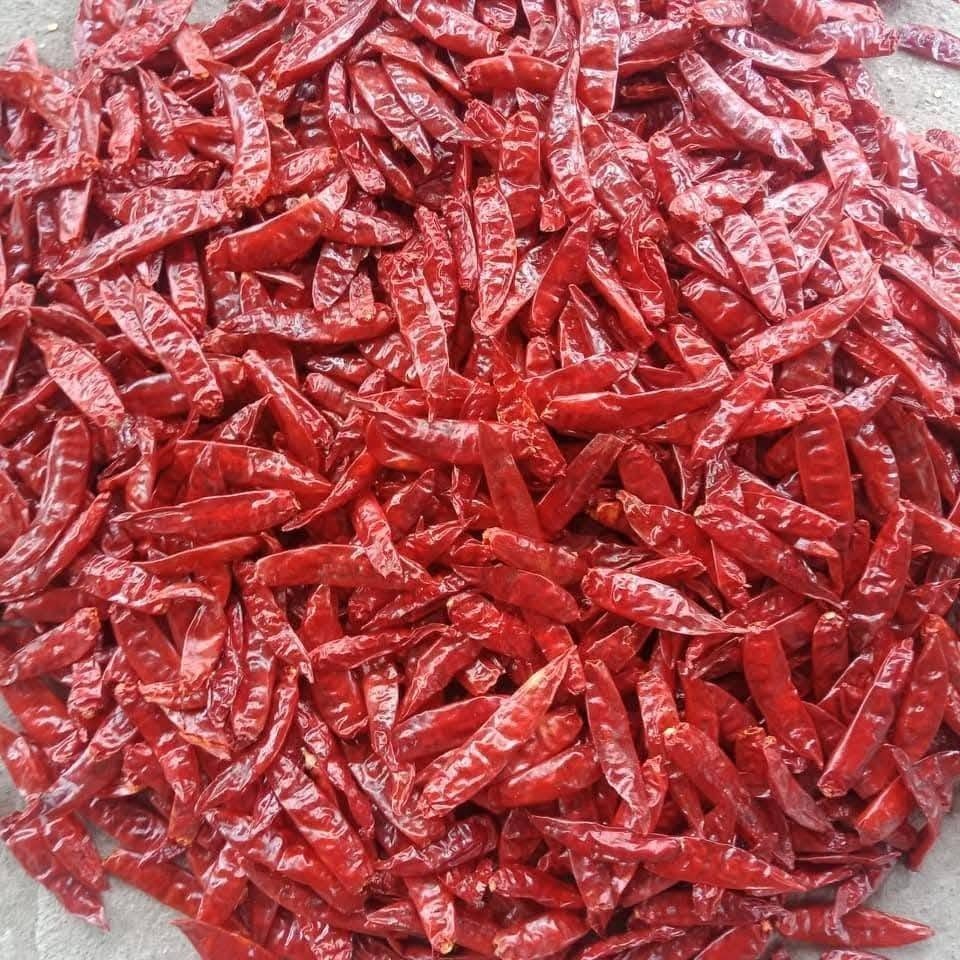 लाल मिर्च