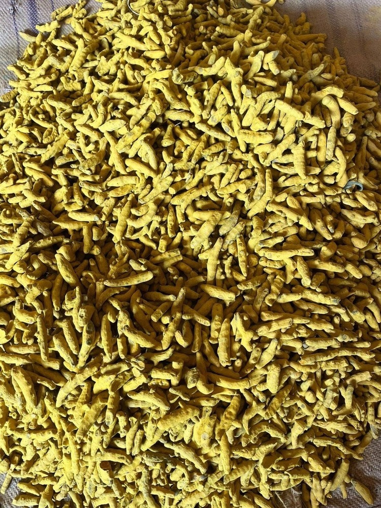 हल्दी उंगलियां
