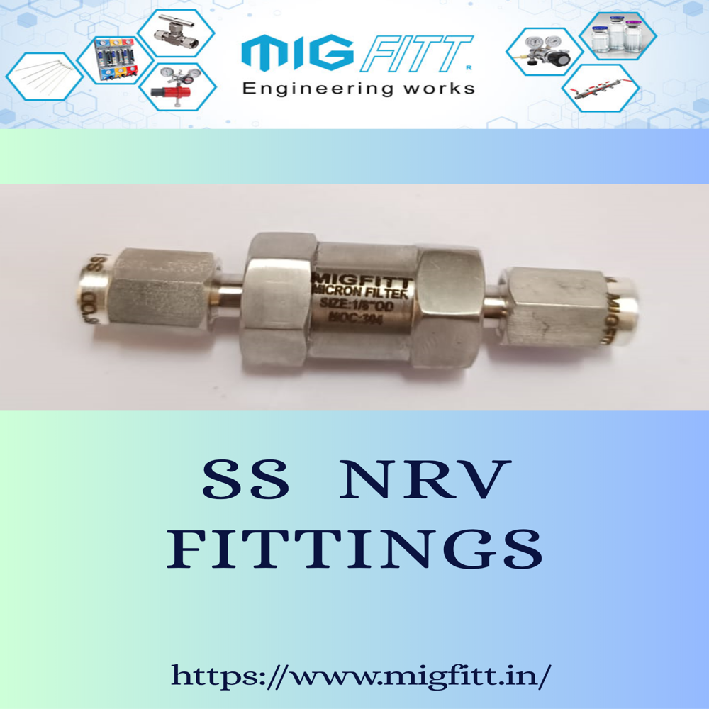 Stainless Steel Check Valve
