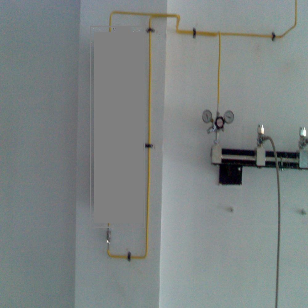 1+1 GAS Manifold System