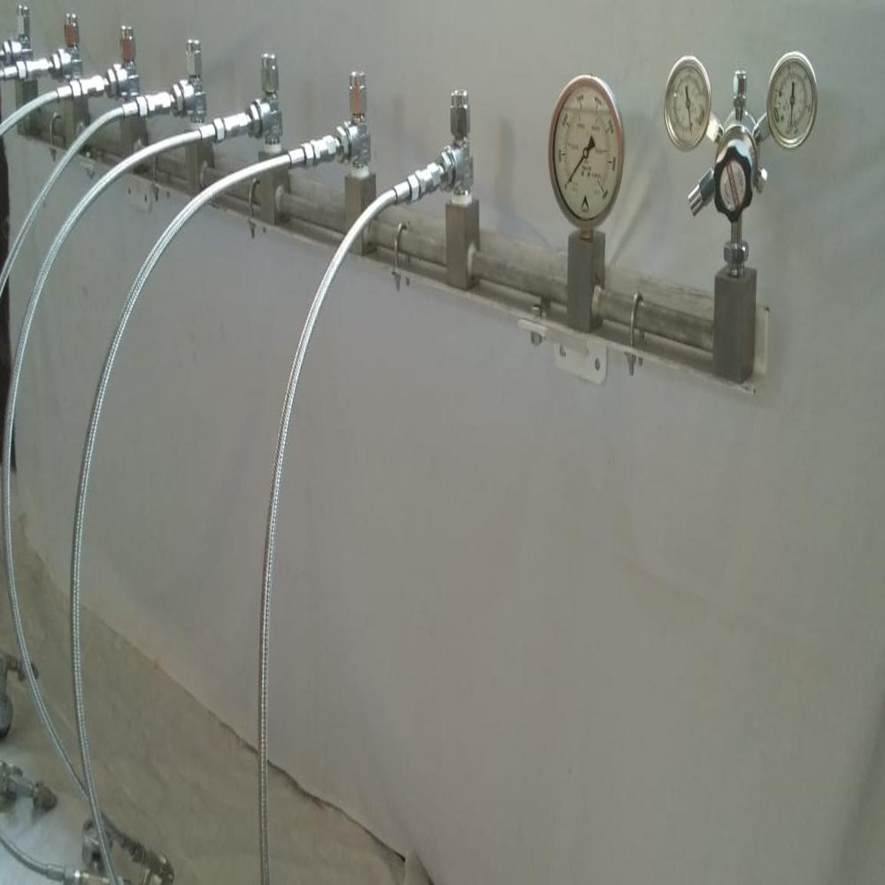 1+1 GAS Manifold System