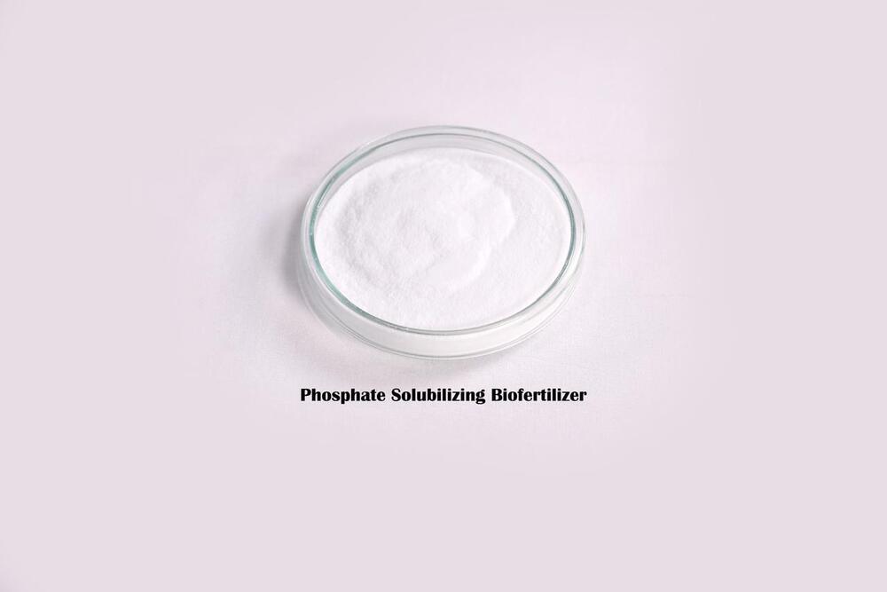 Phosphate Solubilizing Biofertilizer - Sterilized Peat Powder >95% Purity 1x10^8 CFU/g Controlled Release