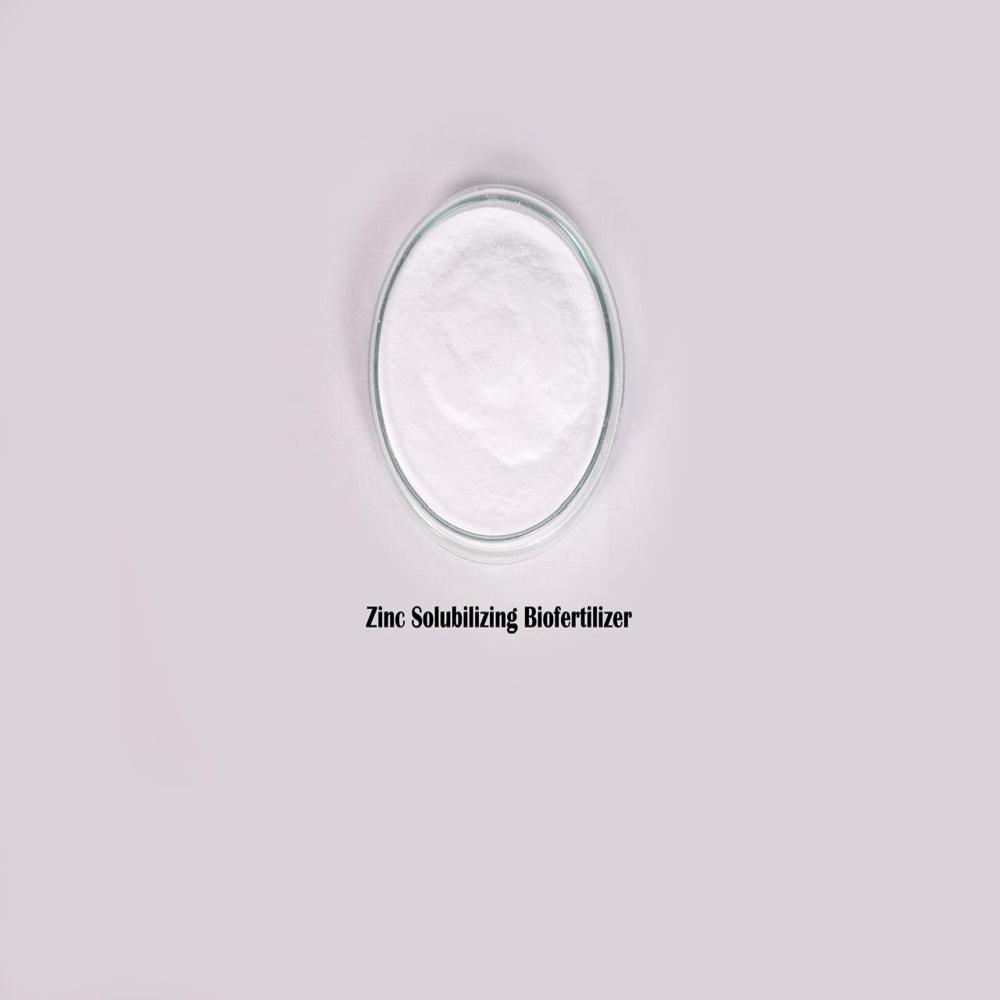 Zinc Solubilizing Biofertilizer (Dextrose based)